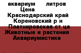 аквариум 450 литров › Цена ­ 15 000 - Краснодарский край, Кореновский р-н, Платнировская ст-ца Животные и растения » Аквариумистика   